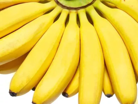 Ripe yellow bananas on a white background