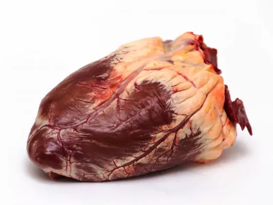 Raw beef heart