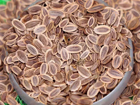 Dill seeds