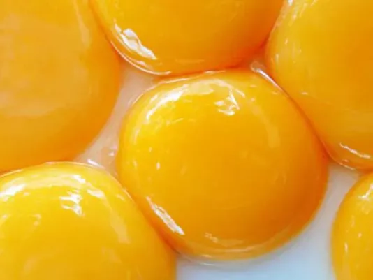 Close-up of an egg yolk