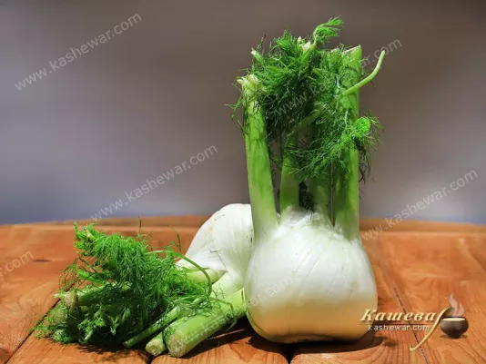 Fresh fennel with a white bulb and green aromatic leaves