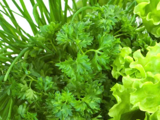 Fresh greens for cooking