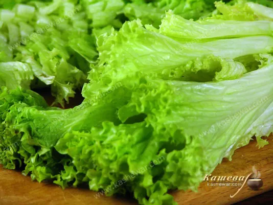 Fresh lettuce with green leaves