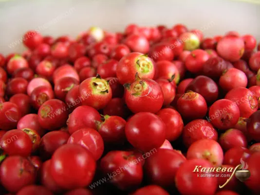 A handful of fresh lingonberries