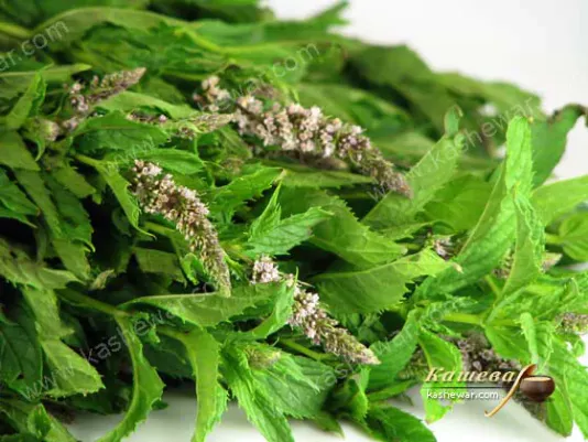 Fresh mint leaves