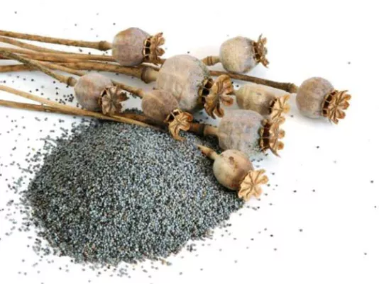 Small poppy seeds