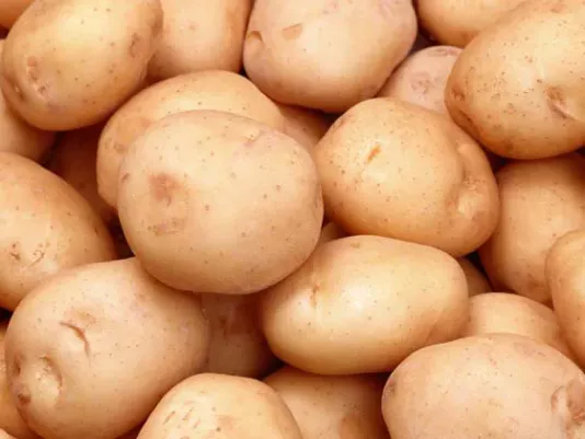 Fresh potatoes