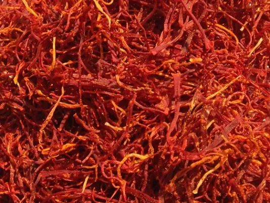 Saffron spice in dried flower stigmas