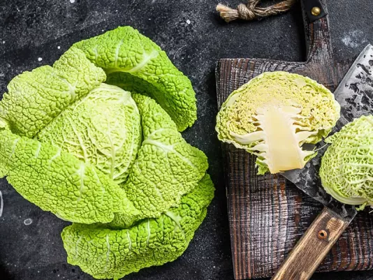 Savoy cabbage with crinkled green leaves