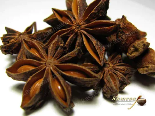 Dried star anise on a white background