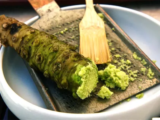 Fresh wasabi root and grated green paste