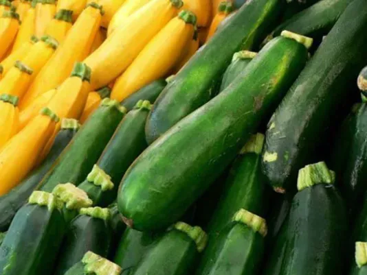 Fresh zucchini on the kitchen table