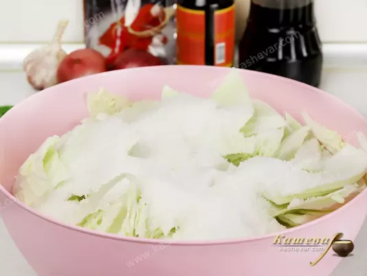 Chinese cabbage ambassador