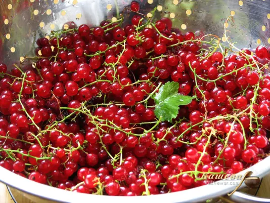 Preparing red currants for jam