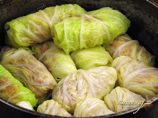 Shaping and laying cabbage rolls