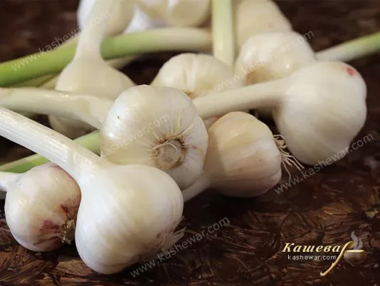 Garlic young heads