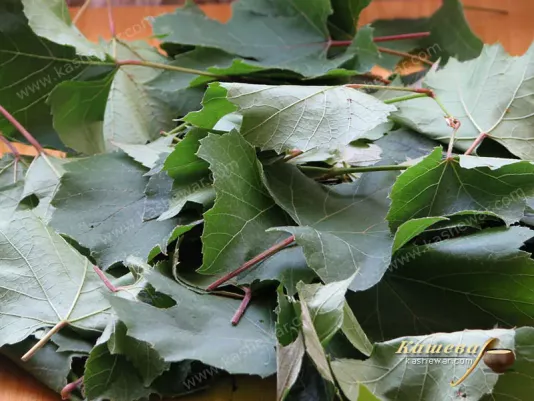 Preparation of grape leaves