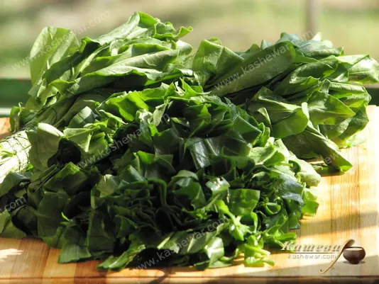 Sorrel cutting