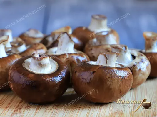 Champignons with a brown hat