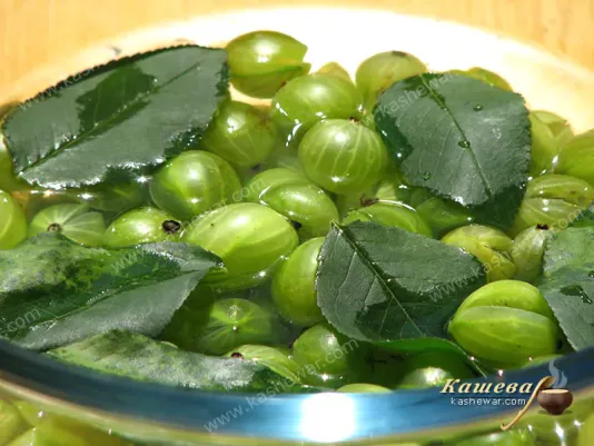 Infusion of gooseberries on a decoction of cherry leaves